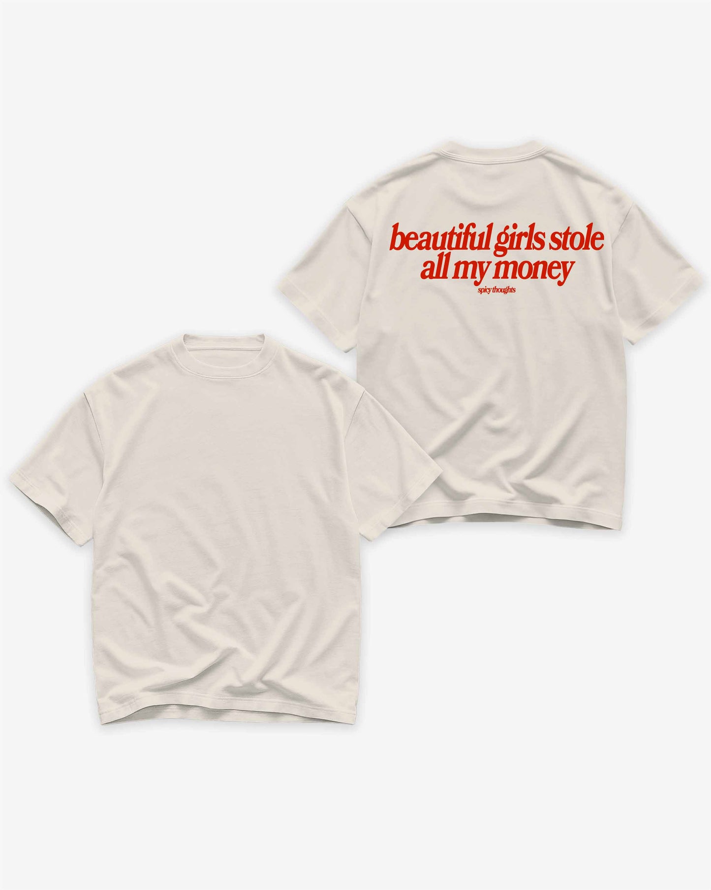 Heavy Oversized Tee - Beautiful Girls Stole All My Money
