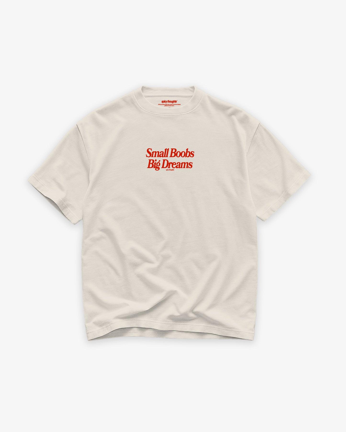 Heavy Oversized Tee - Small Boobs, Big Dreams