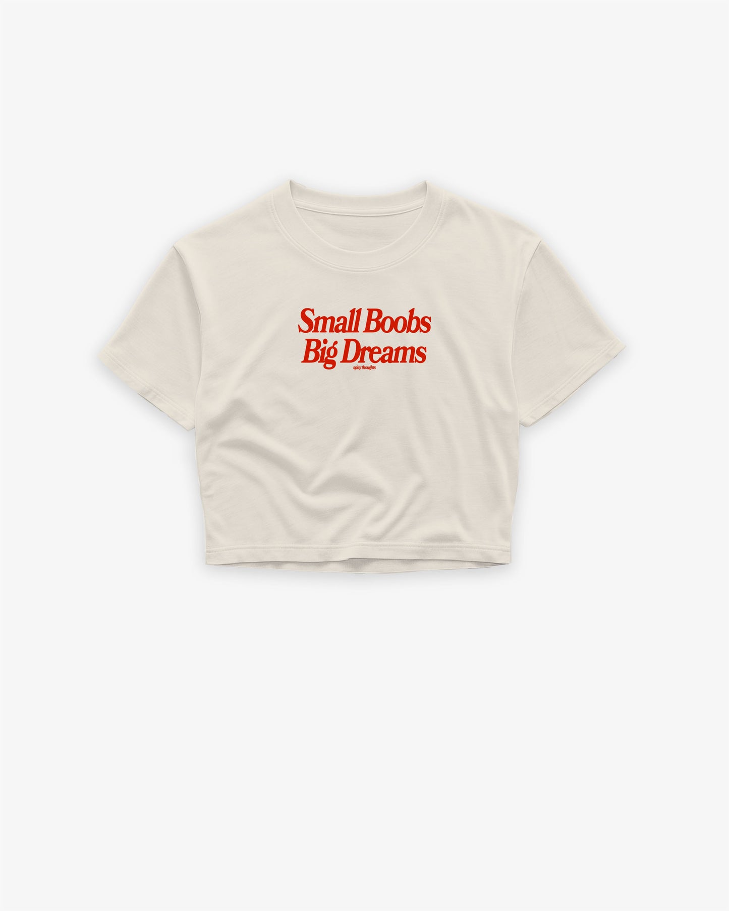 Oversize Cropped Tee - Small Boobs Big Dreams