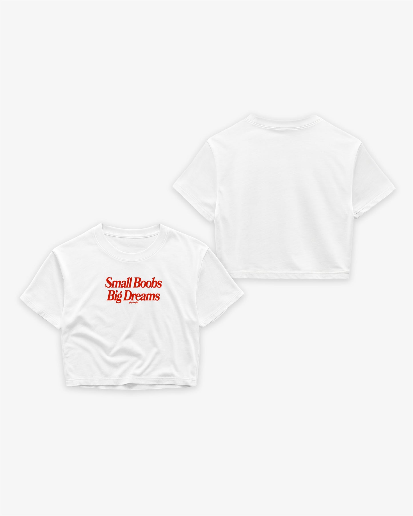 Oversize Cropped Tee - Small Boobs Big Dreams