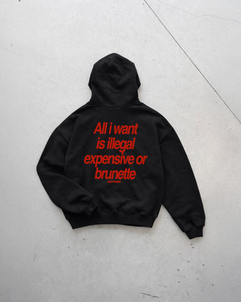 Oversized Hoodie - All I Want Is Illegal, Expensive or Brunette
