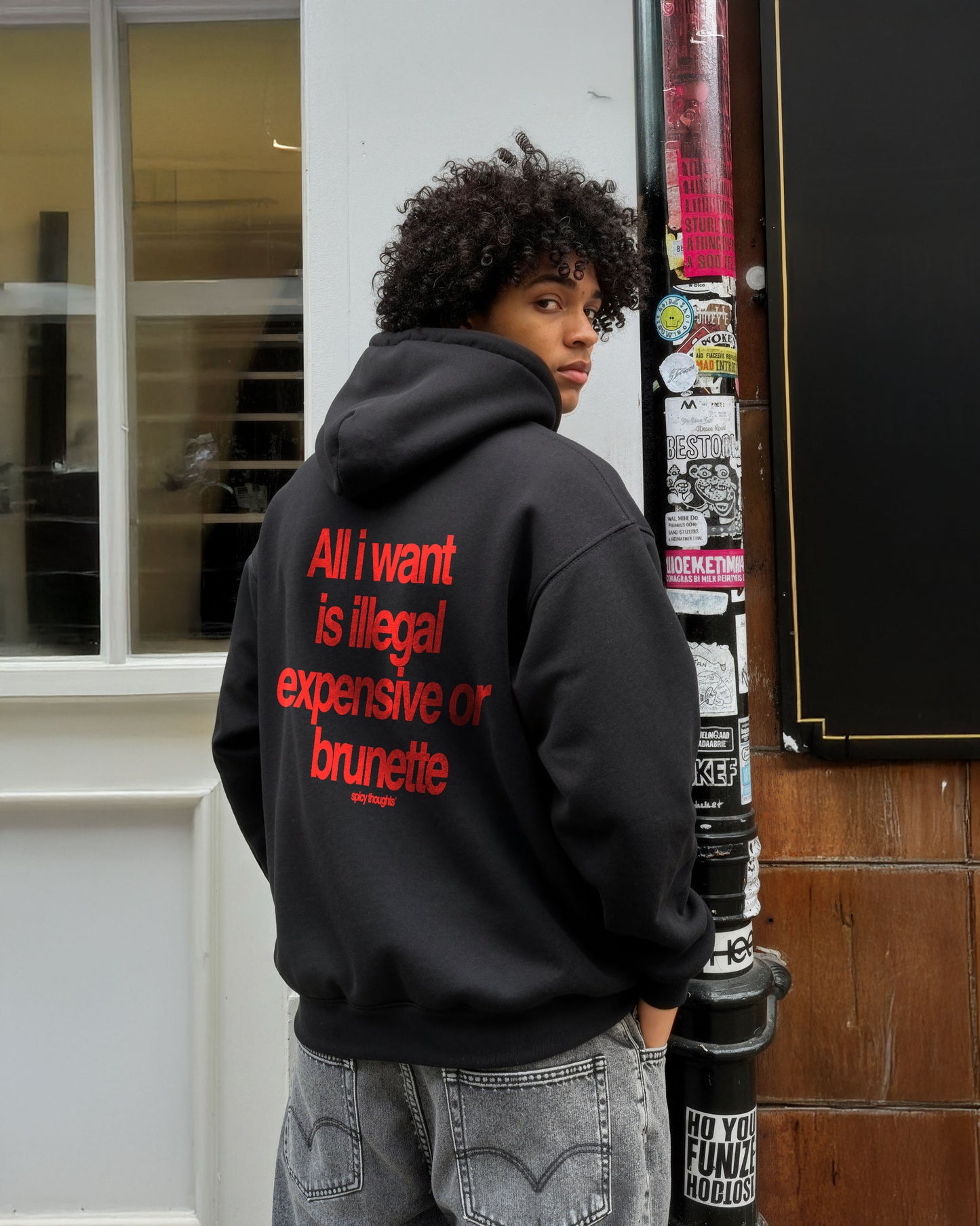 Oversized Hoodie - All I Want Is Illegal, Expensive or Brunette