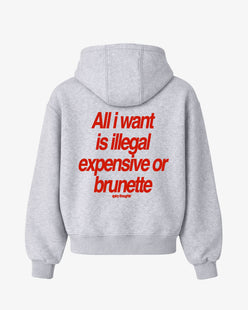 Oversized Hoodie - All I Want Is Illegal, Expensive or Brunette
