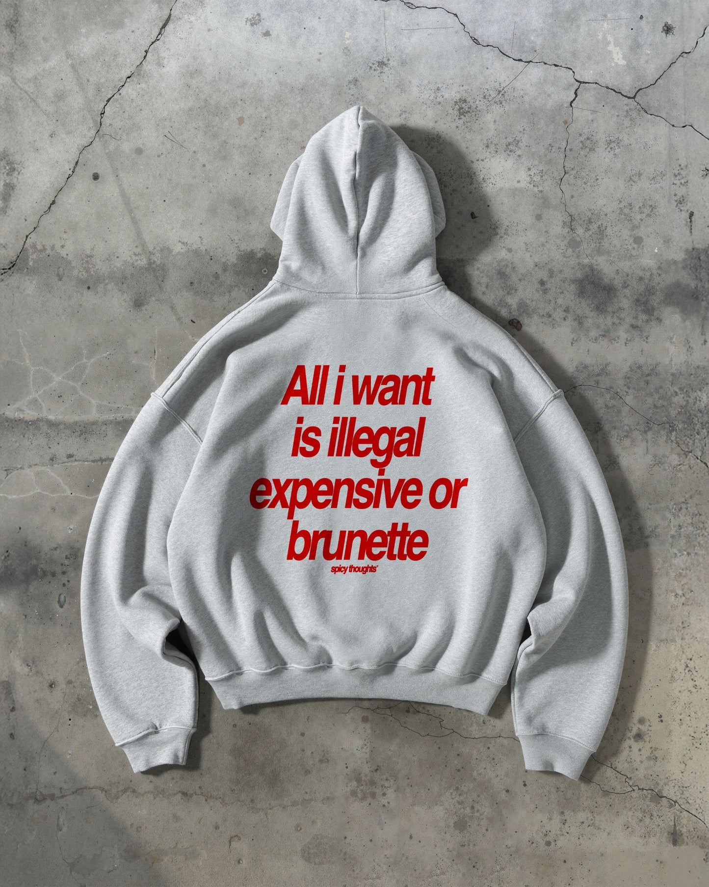 Oversized Hoodie - All I Want Is Illegal, Expensive or Brunette