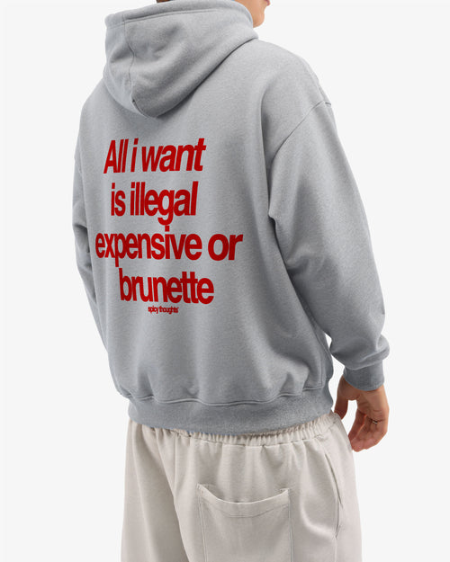 Oversized Hoodie - All I Want Is Illegal, Expensive or Brunette