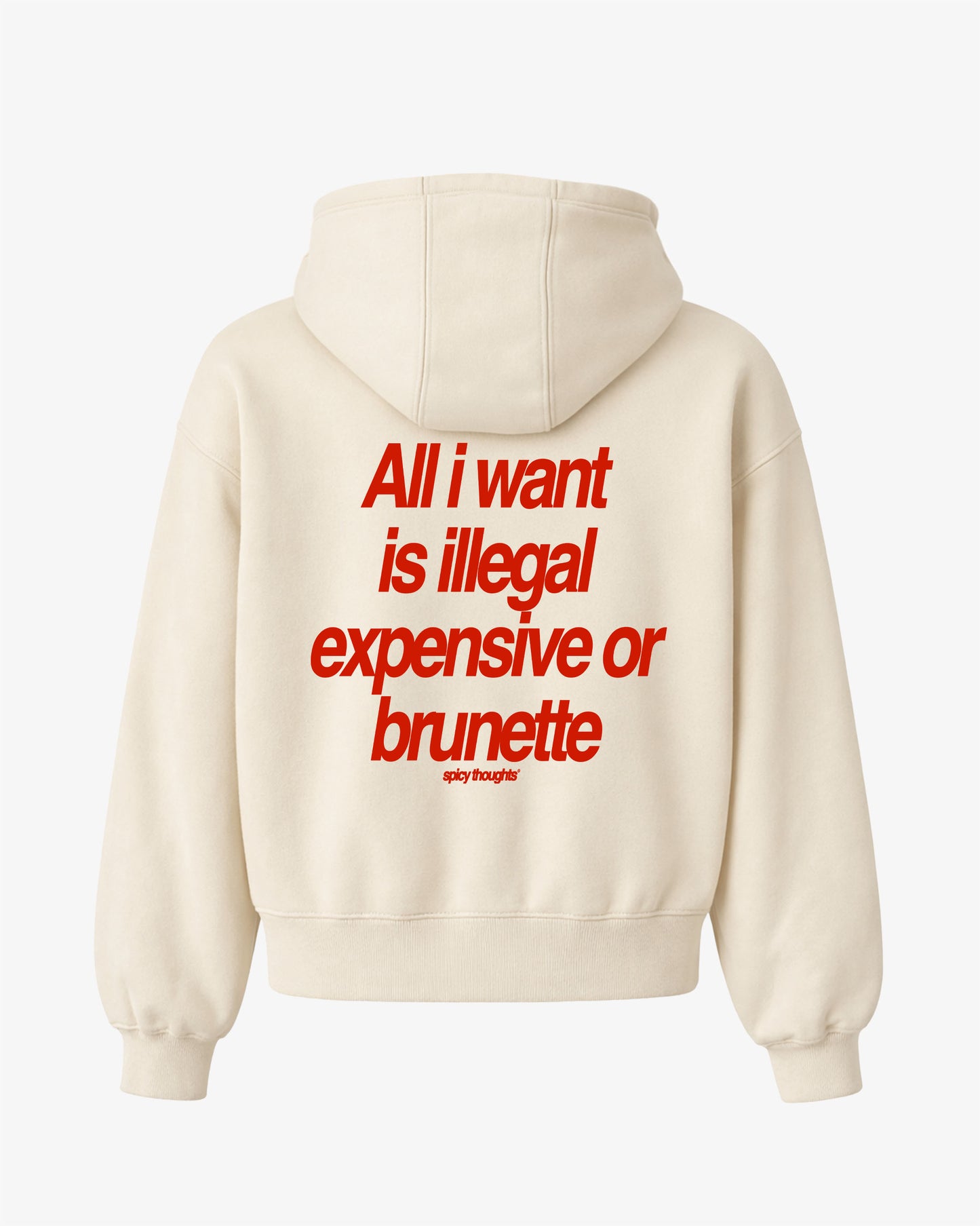 Oversized Hoodie - All I Want Is Illegal, Expensive or Brunette