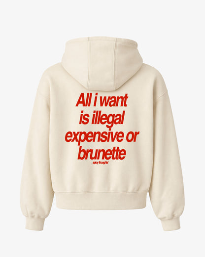 Oversized Hoodie - All I Want Is Illegal, Expensive or Brunette