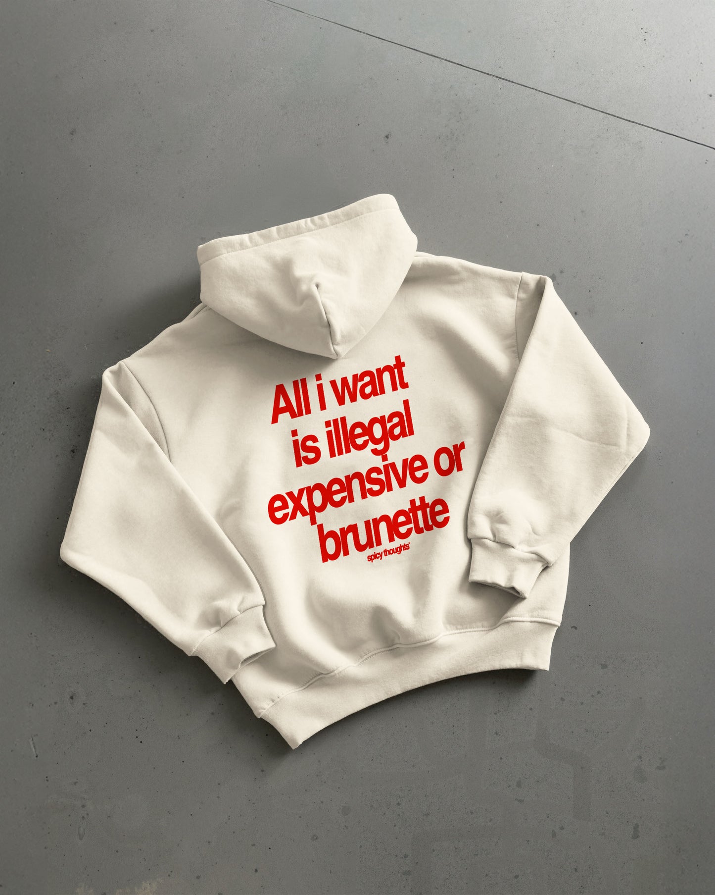 Oversized Hoodie - All I Want Is Illegal, Expensive or Brunette