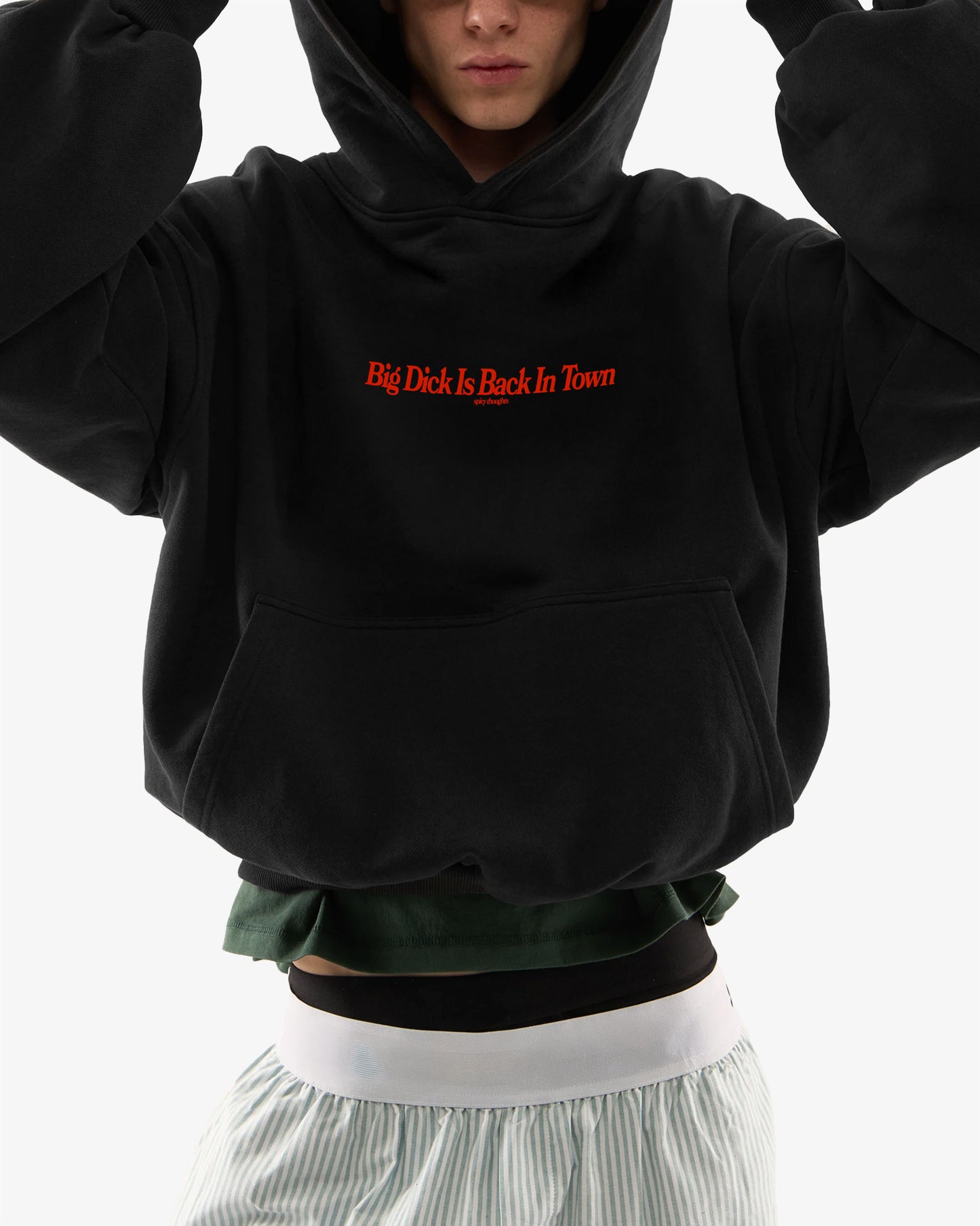 Oversized Hoodie - Big Dick Is Back In Town