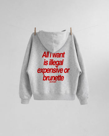 Oversized Hoodie - All I Want Is Illegal, Expensive or Brunette