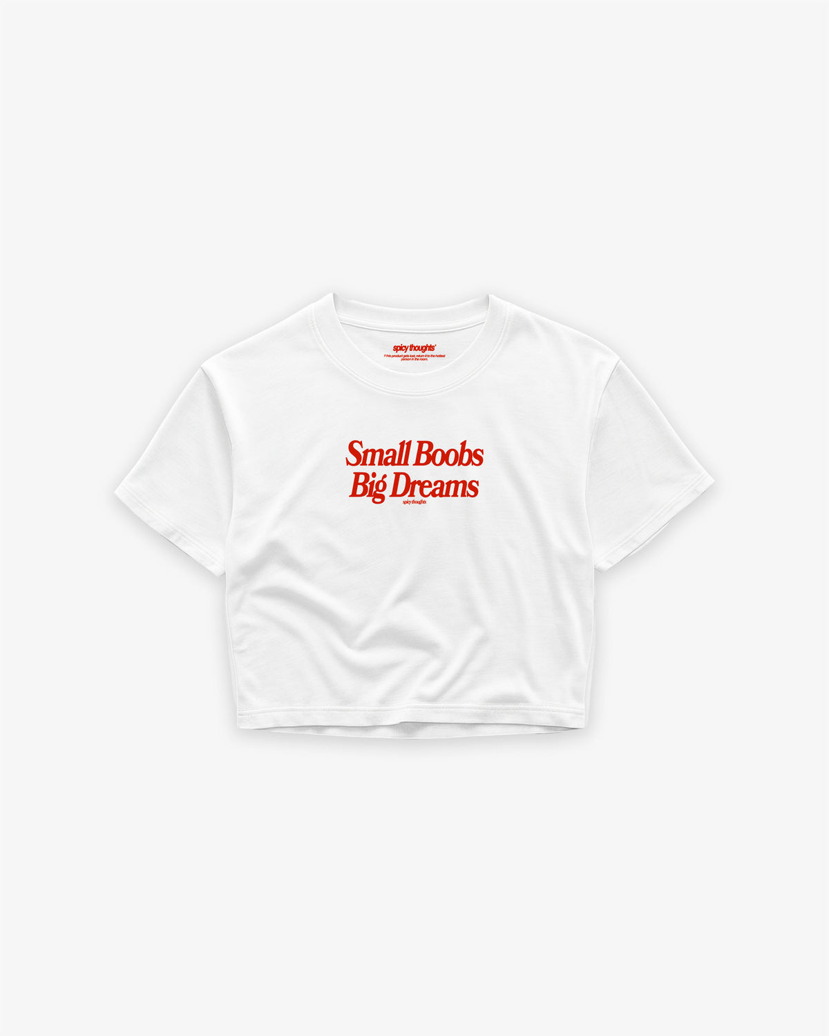 Cropped Tee - Small Boobs Big Dreams