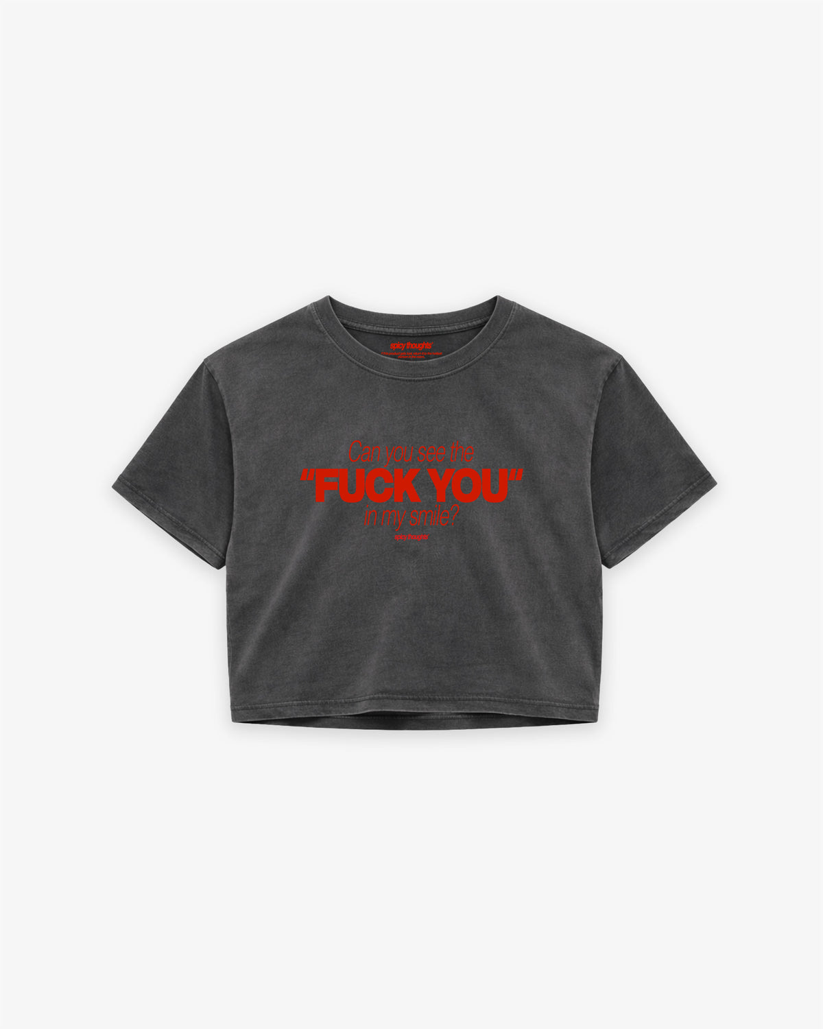 Cropped Tee - Can You See The Fuck You In My Smile