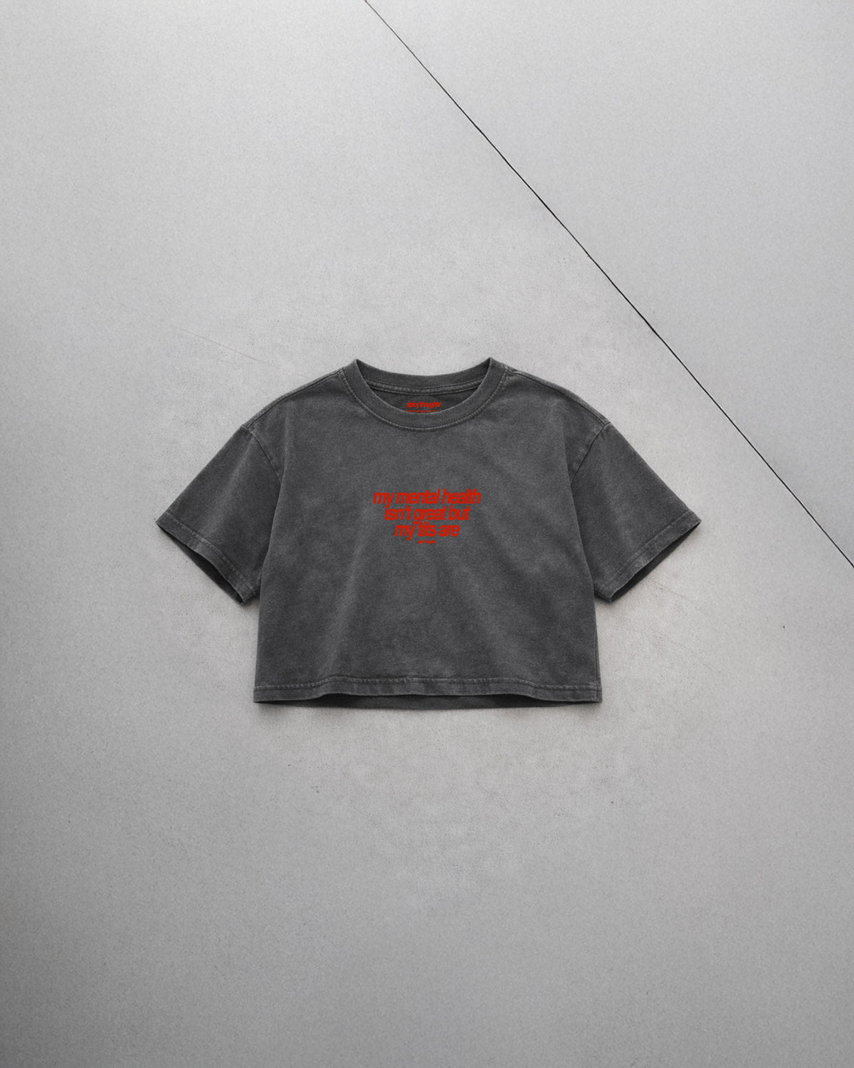Cropped Tee - My Mental Health Isn’t Great – But My Tits Are