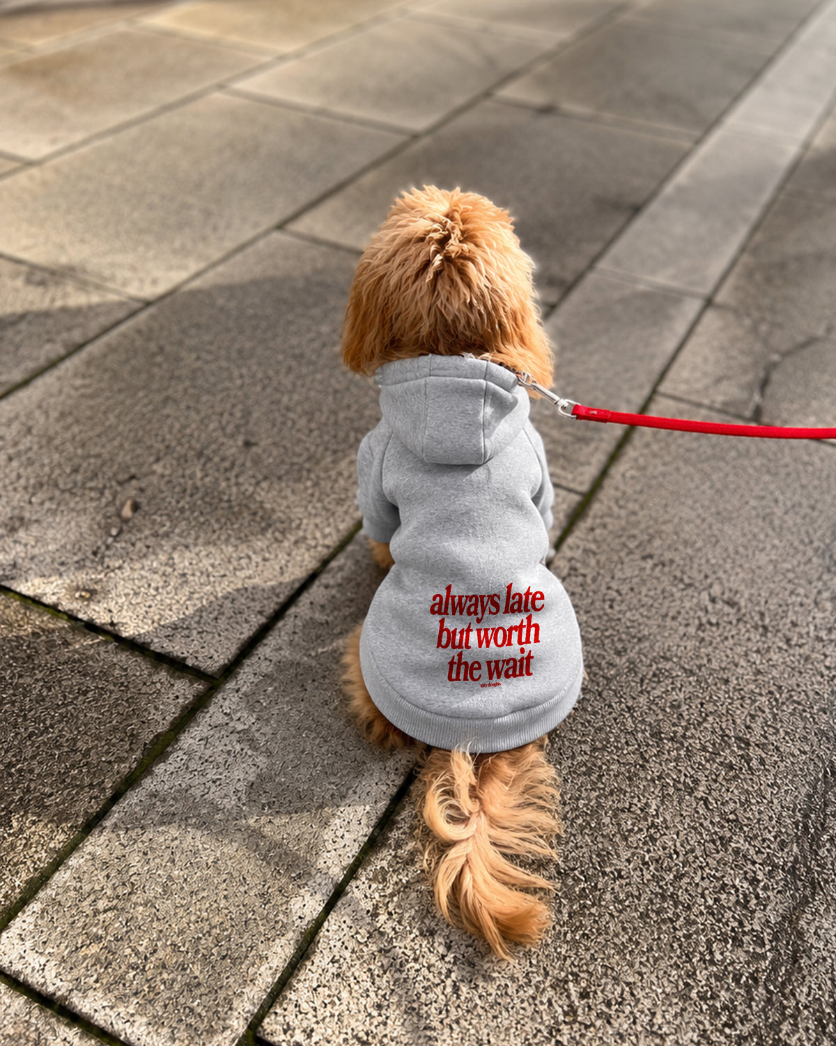 Dog Hoodie - Always Late But Worth The Wait