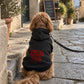 Dog Hoodie - Buenos Dias Fuckers