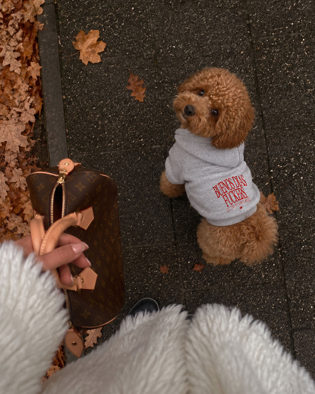 Dog Hoodie - Buenos Dias Fuckers