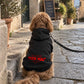 Dog Hoodie - Can you hear the “Fuck You” in my woof