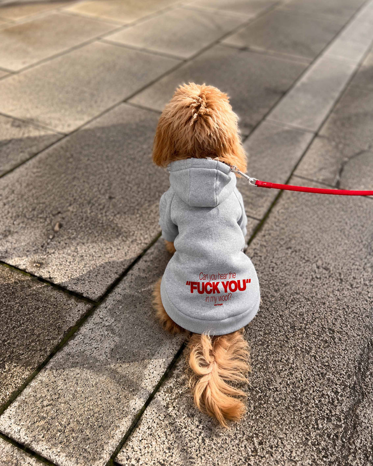 Dog Hoodie - Can you hear the “Fuck You” in my woof