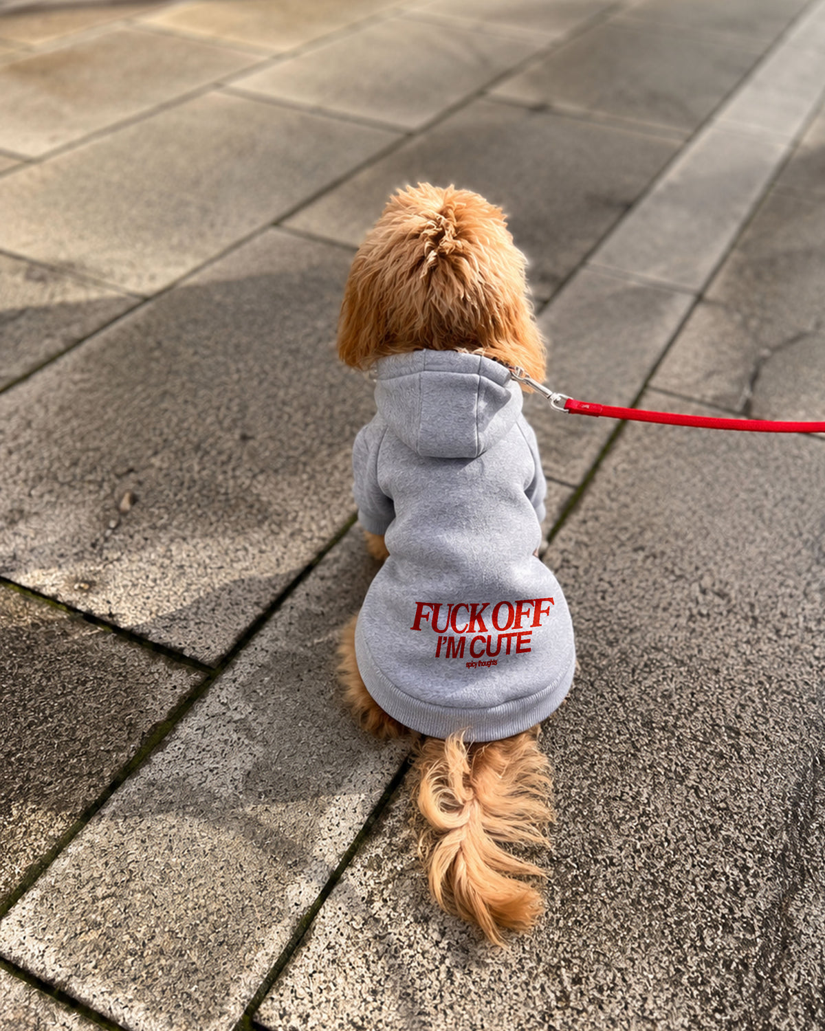 Dog Hoodie - Fuck Off I’m Cute