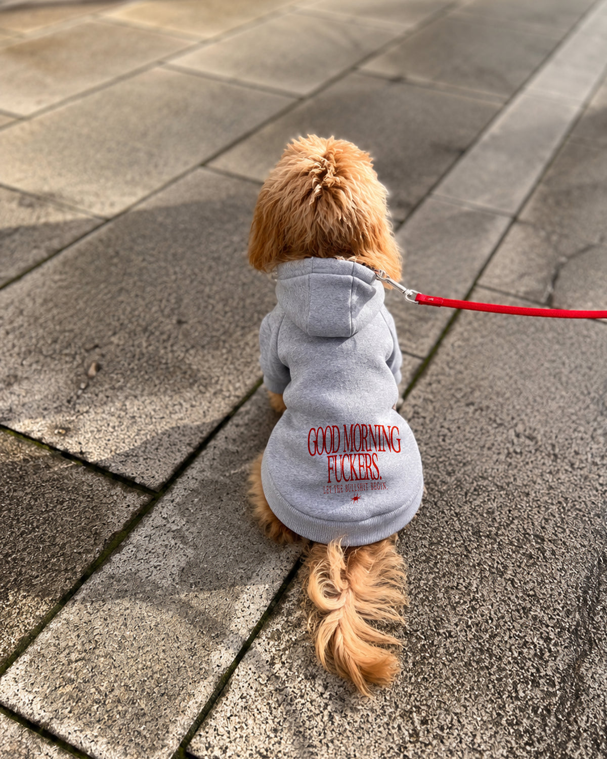 Dog Hoodie - Good Morning Fuckers
