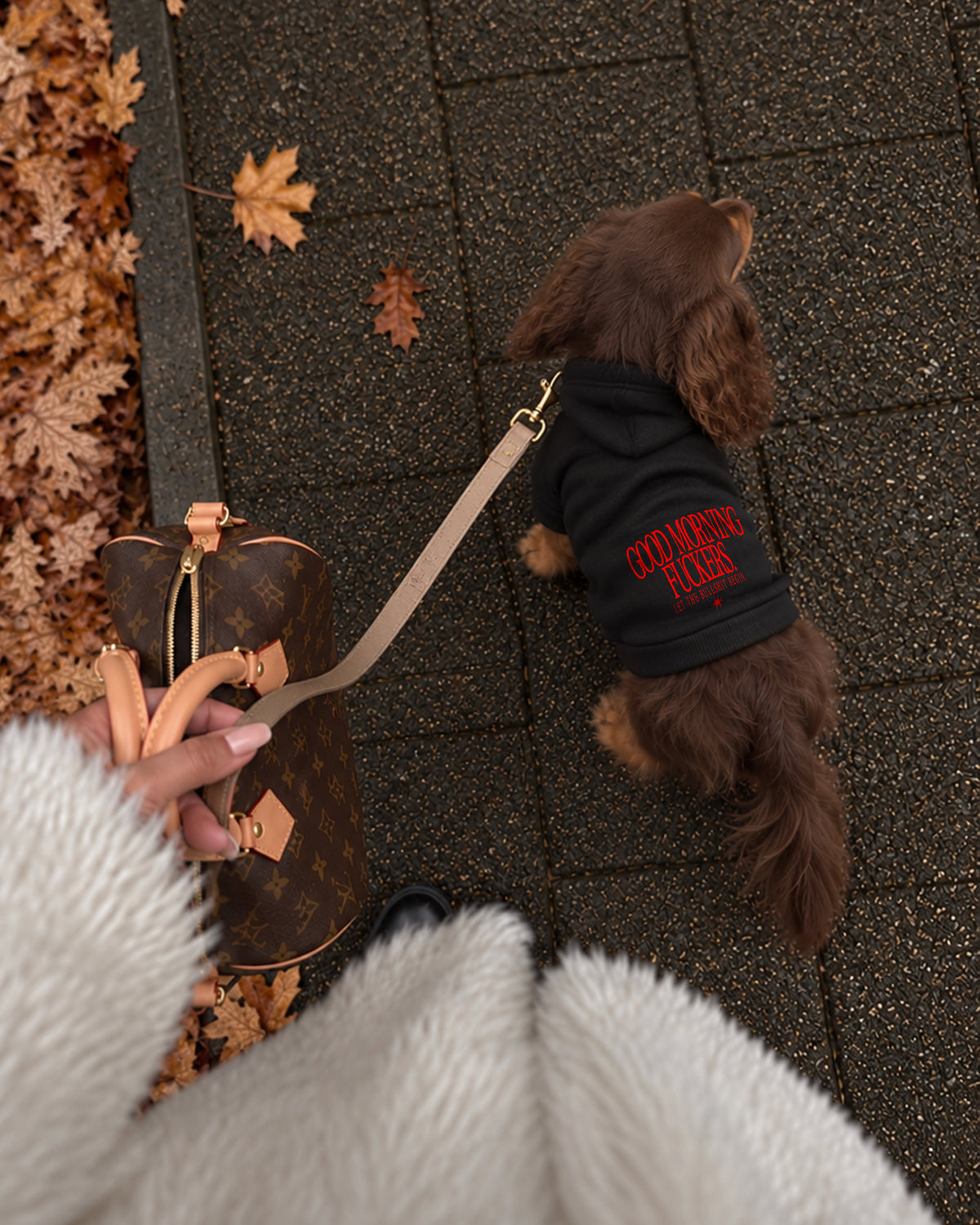 Dog Hoodie - Good Morning Fuckers