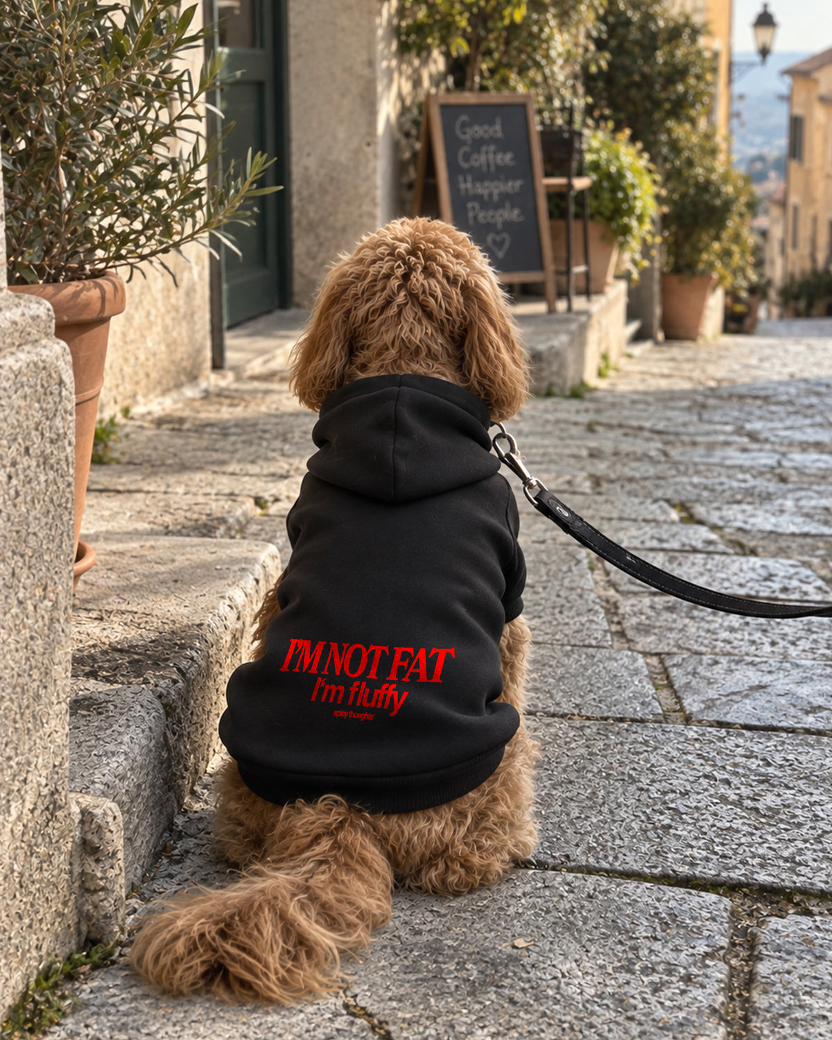 Dog Hoodie - I’m Not Fat I’m Fluffy