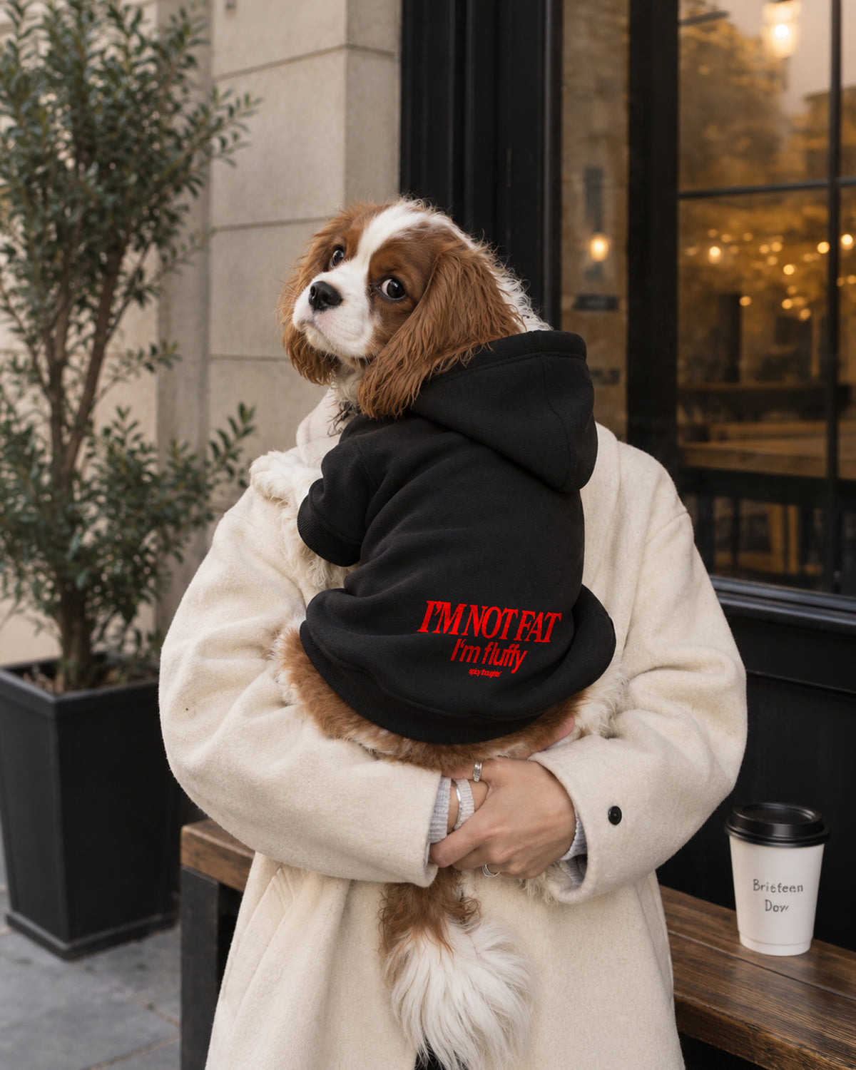 Dog Hoodie - I’m Not Fat I’m Fluffy