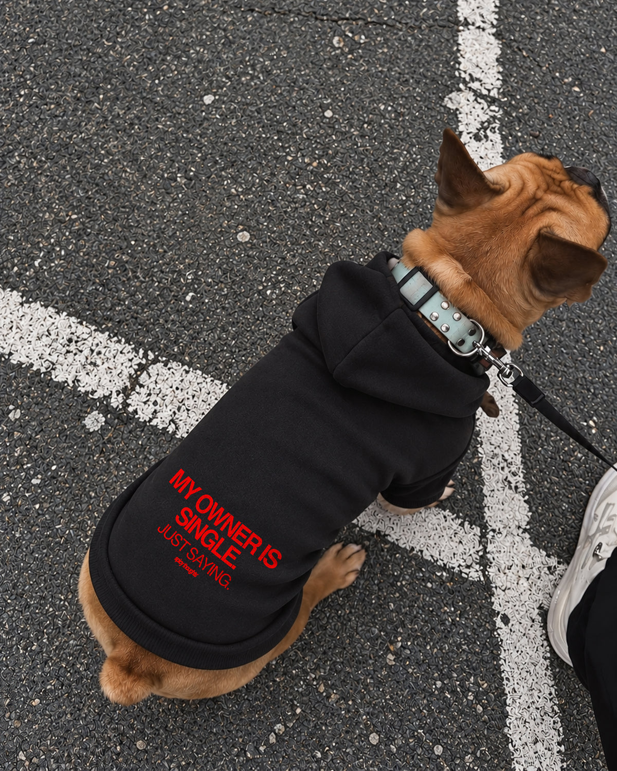 Dog Hoodie - My Owner Is Single