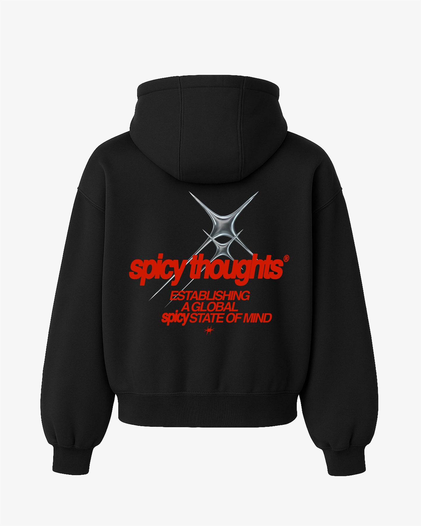 Oversized Hoodie - Establishing a Global Spicy State of Mind