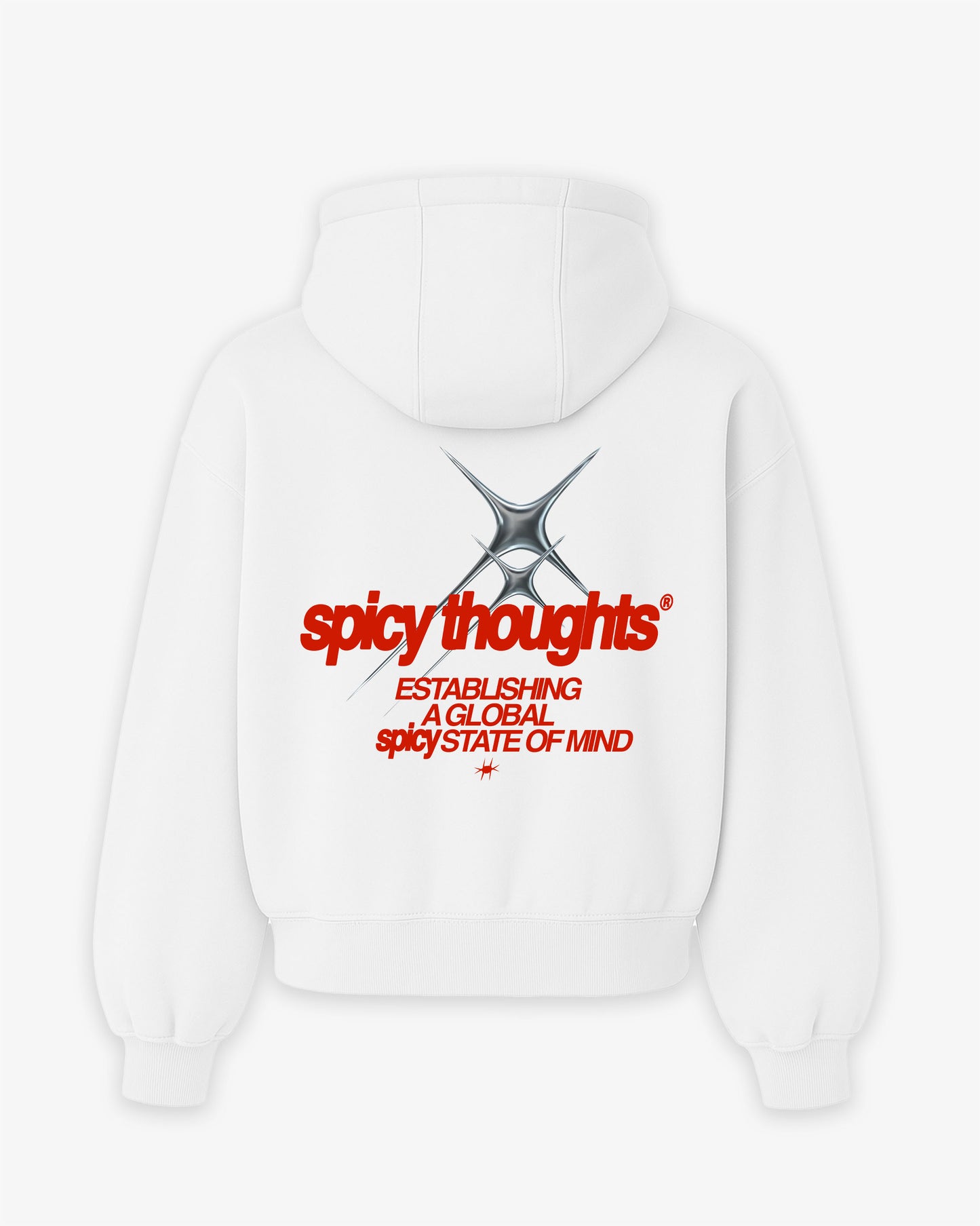 Oversized Hoodie - Establishing a Global Spicy State of Mind