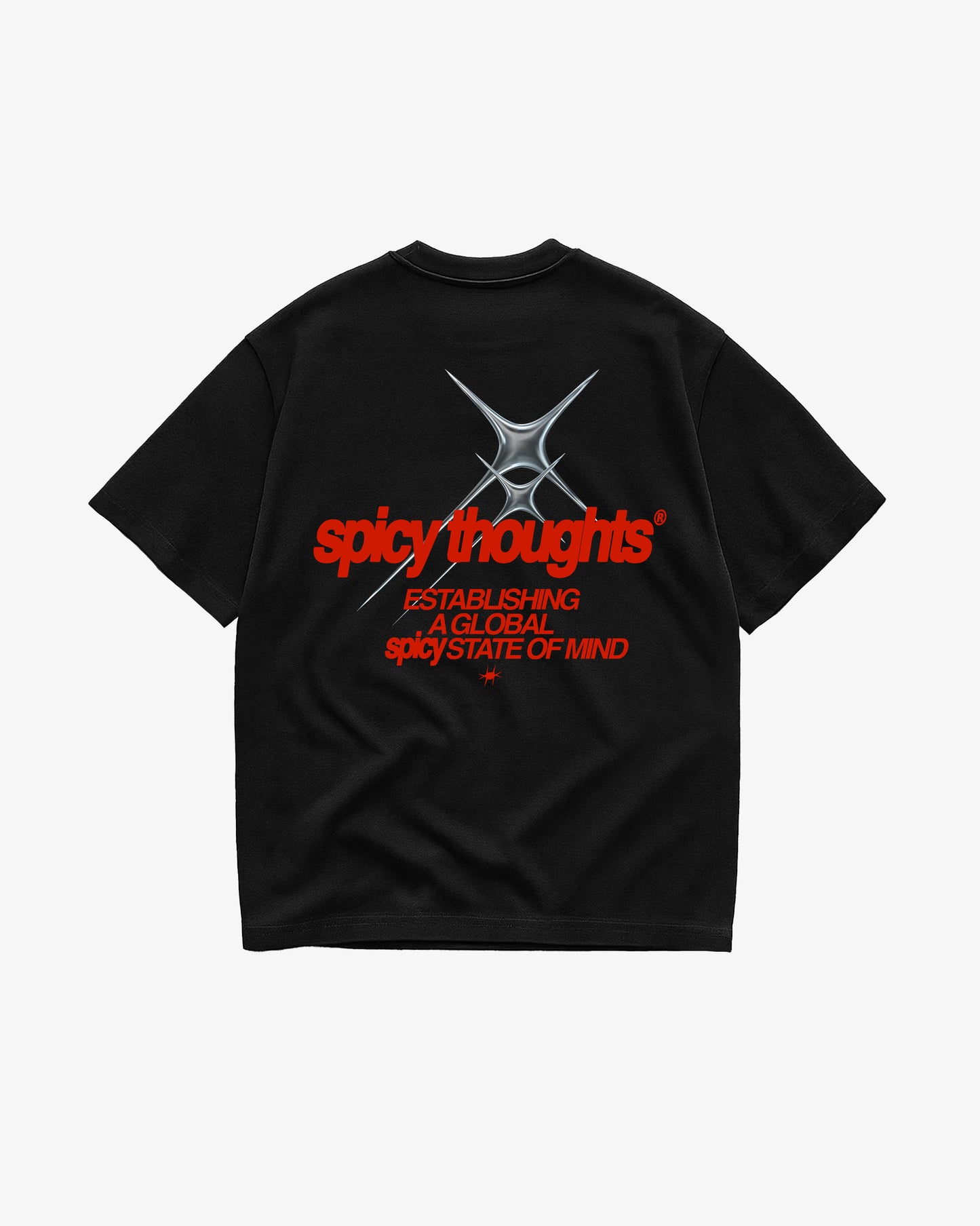 Heavy Oversized Tee - Establishing a Global Spicy State of Mind