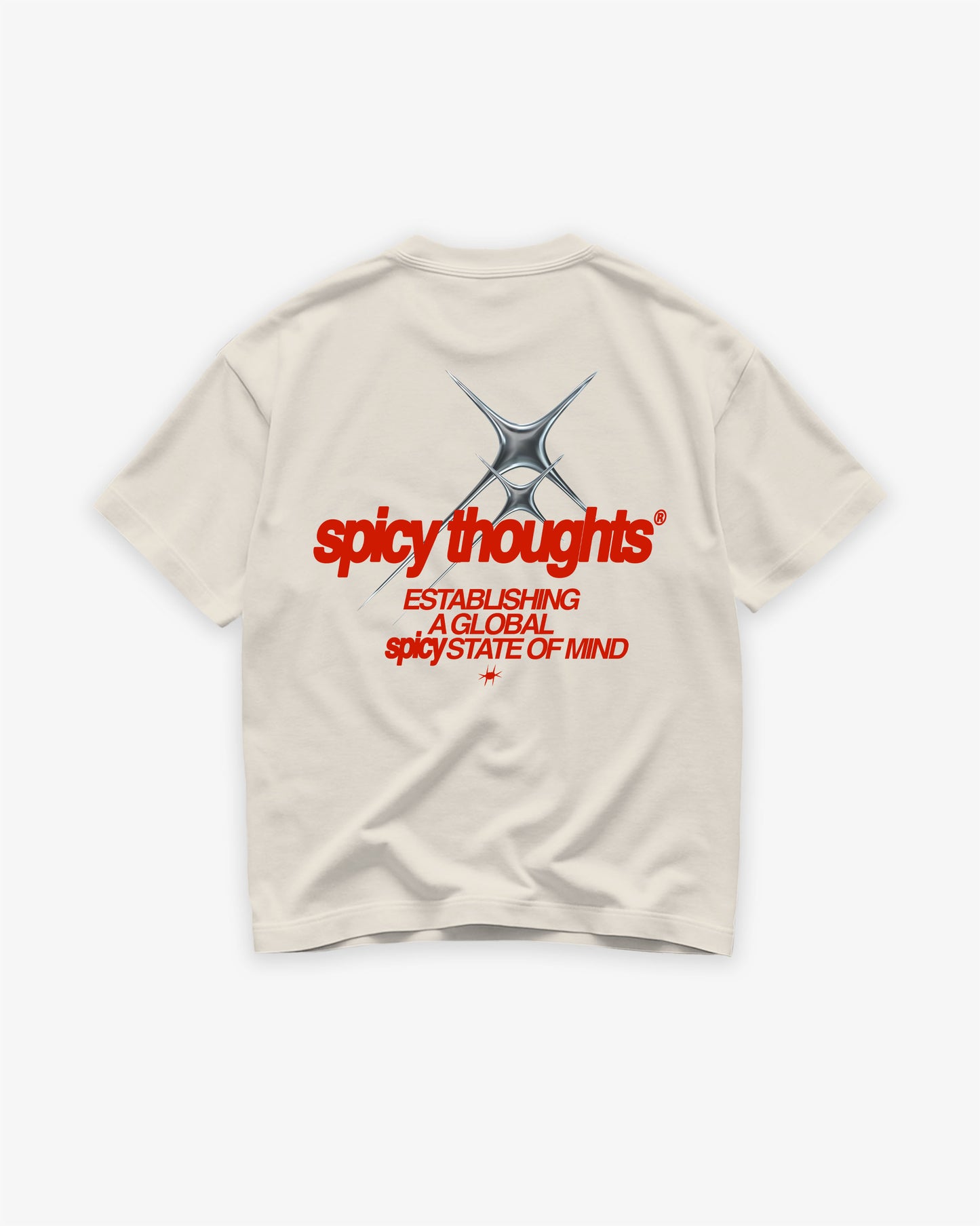 Heavy Oversized Tee - Establishing a Global Spicy State of Mind