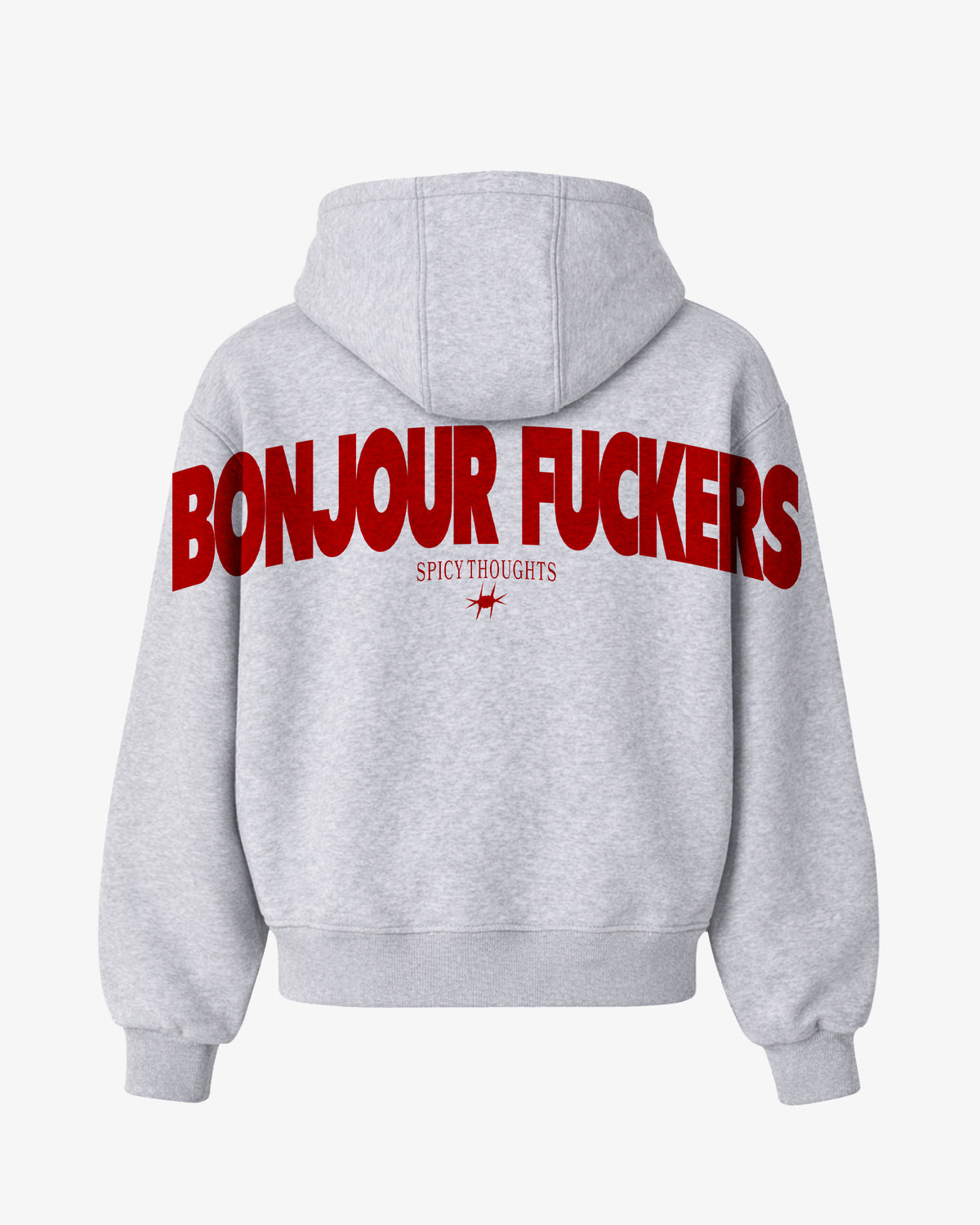 Oversized Hoodie - Bonjour Fuckers Back Arch