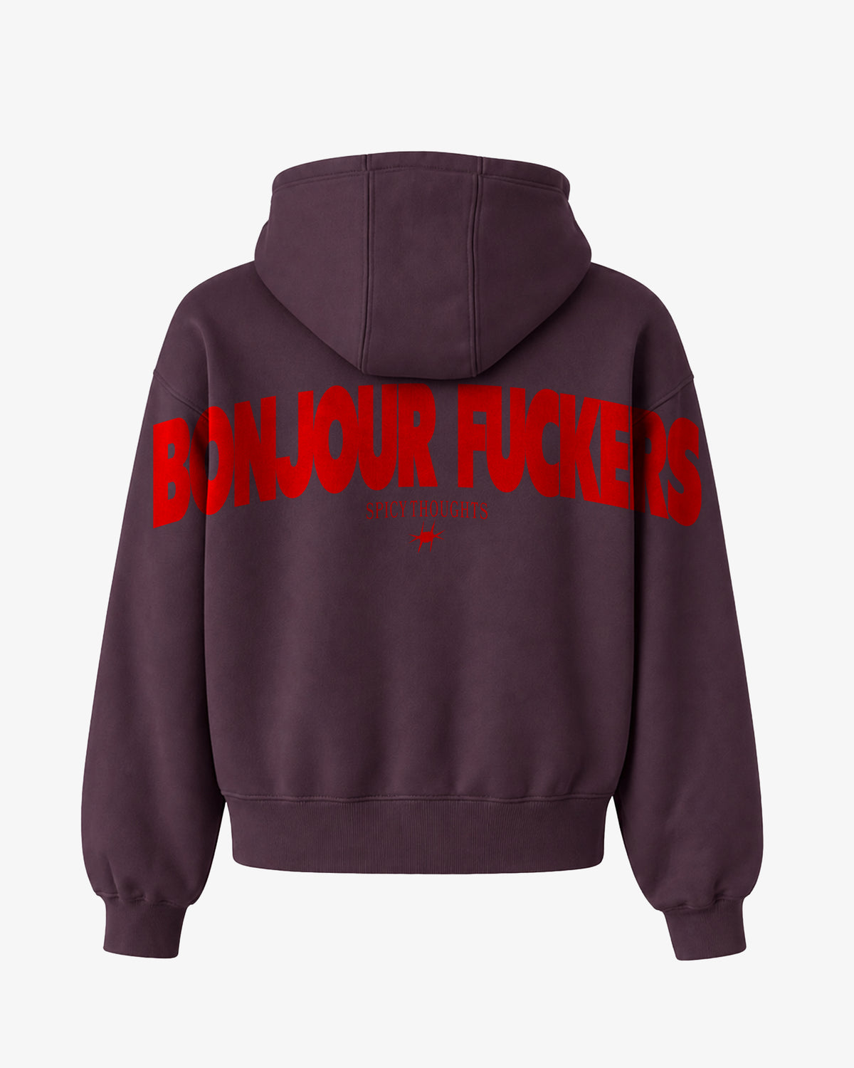 Oversized Hoodie - Bonjour Fuckers Back Arch