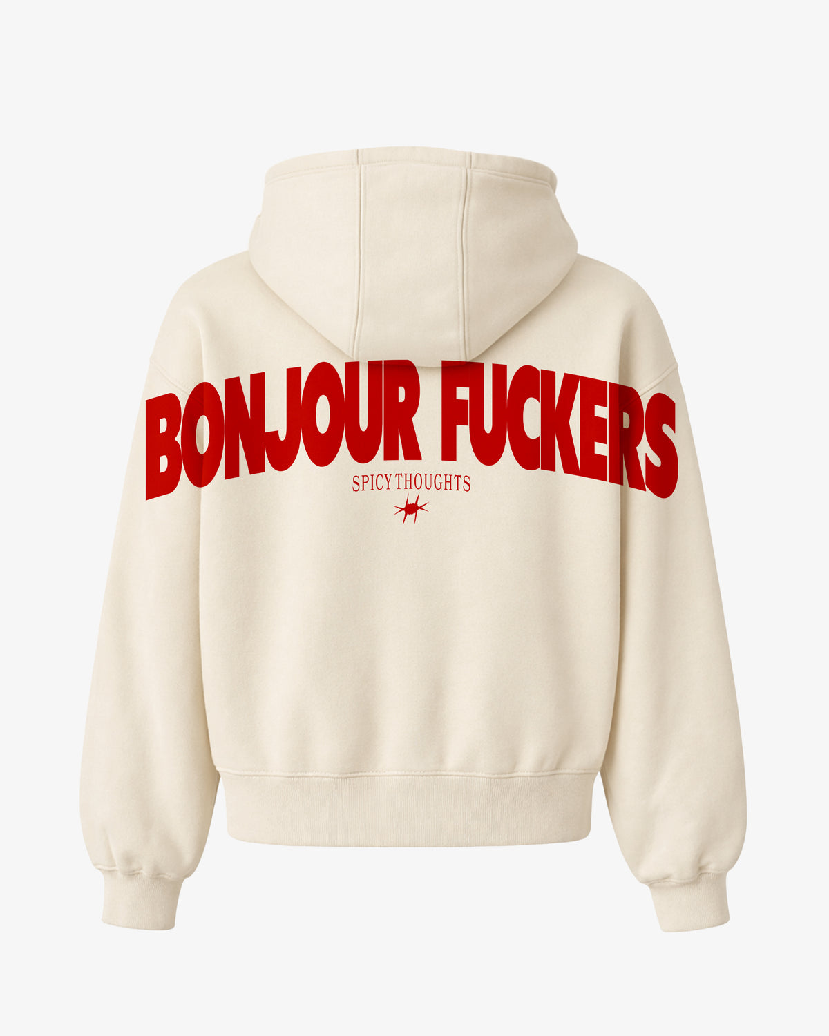 Oversized Hoodie - Bonjour Fuckers Back Arch