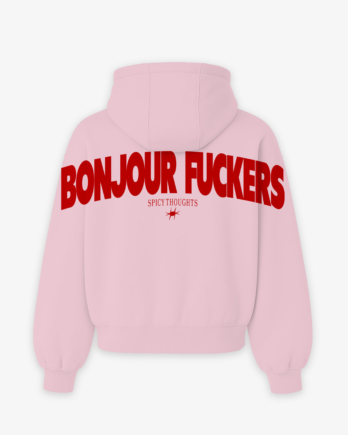Oversized Hoodie - Bonjour Fuckers Back Arch