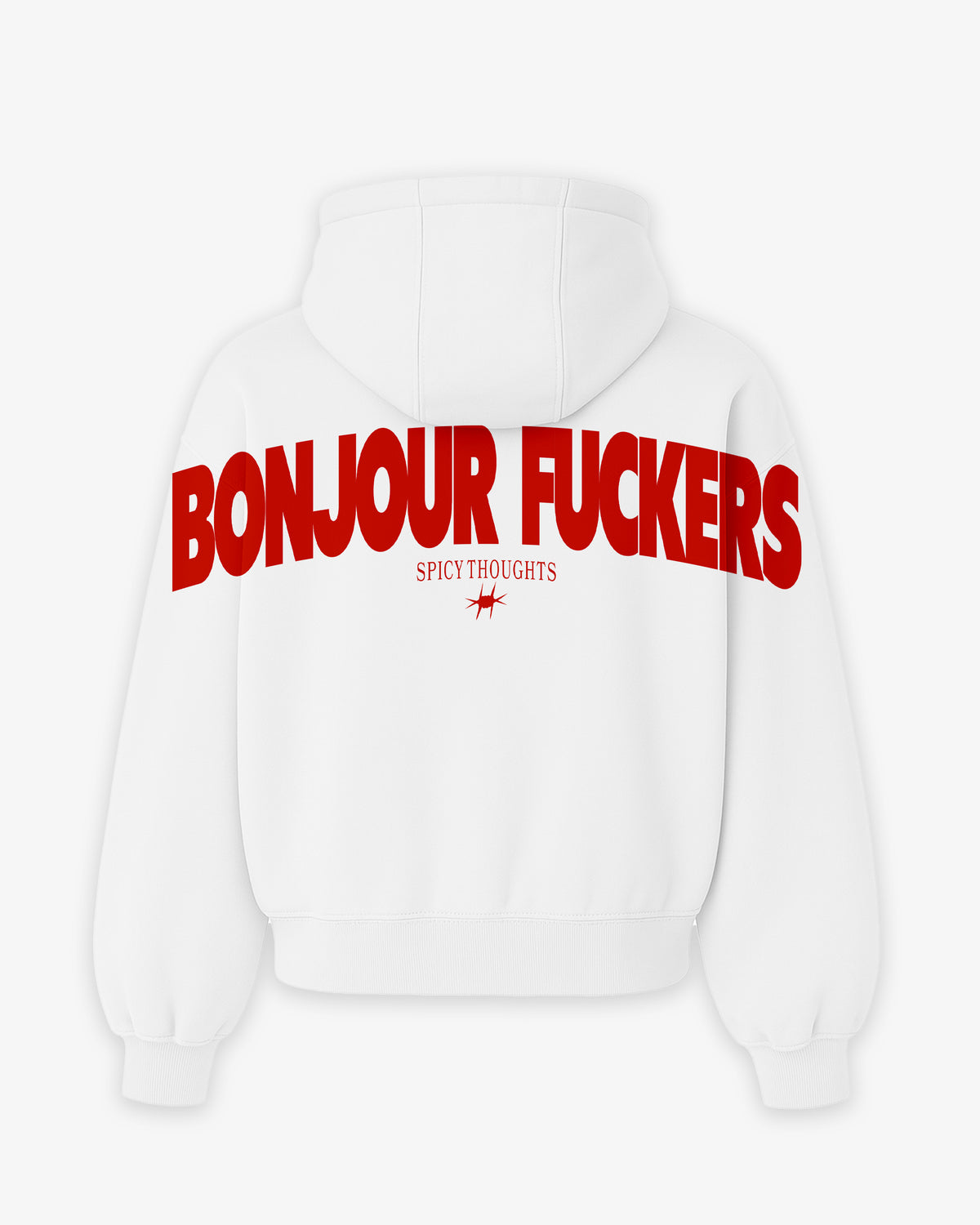 Oversized Hoodie - Bonjour Fuckers Back Arch