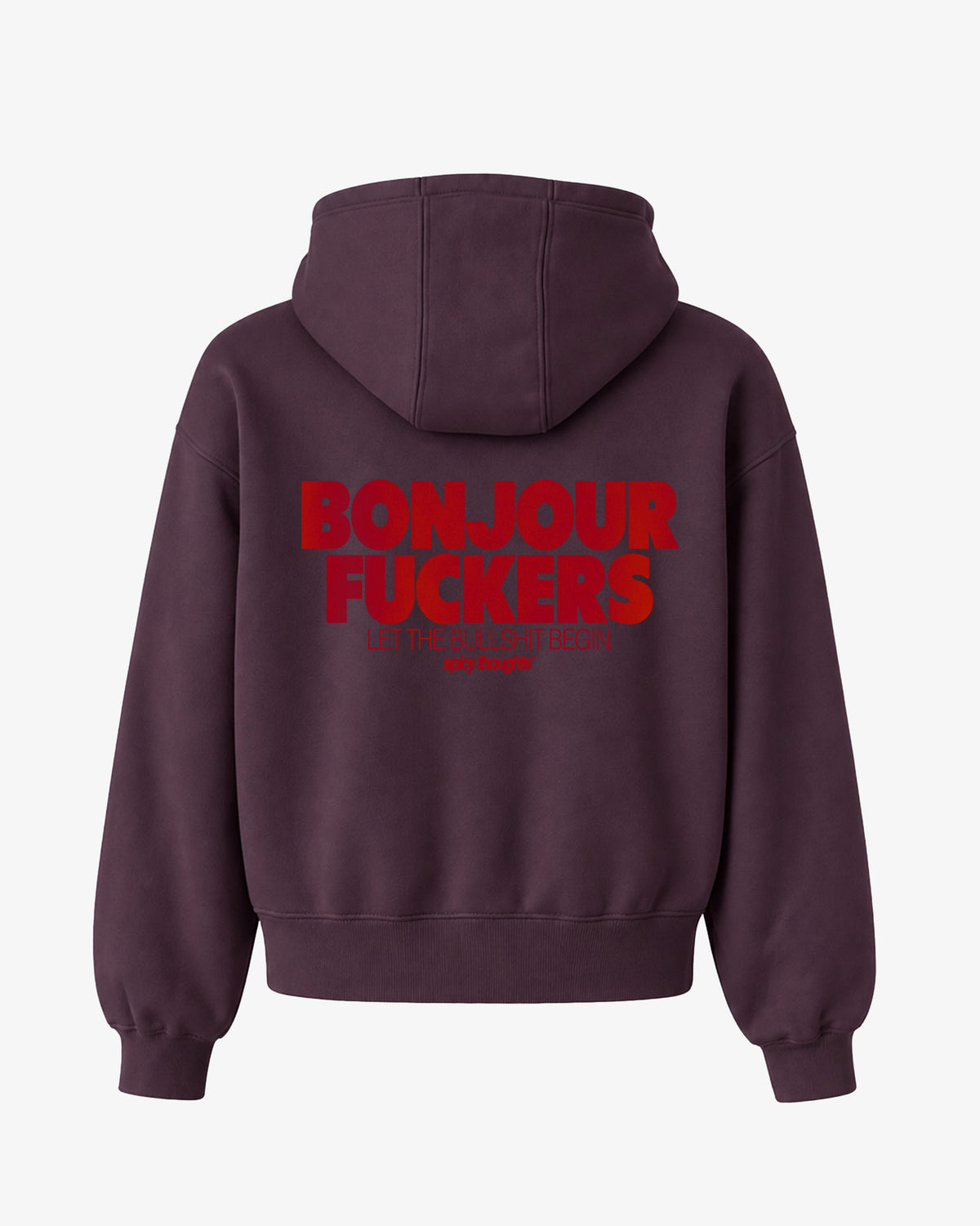 Oversized Hoodie - Bonjour Fuckers