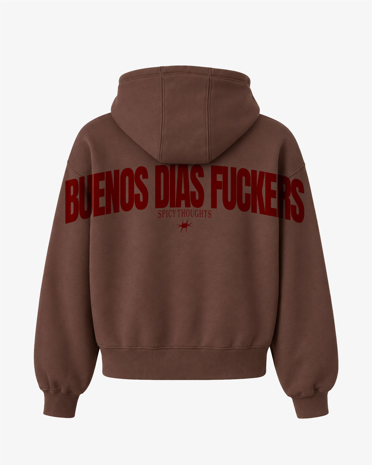 Oversized Hoodie - Buenos Dias Fuckers Back Arch