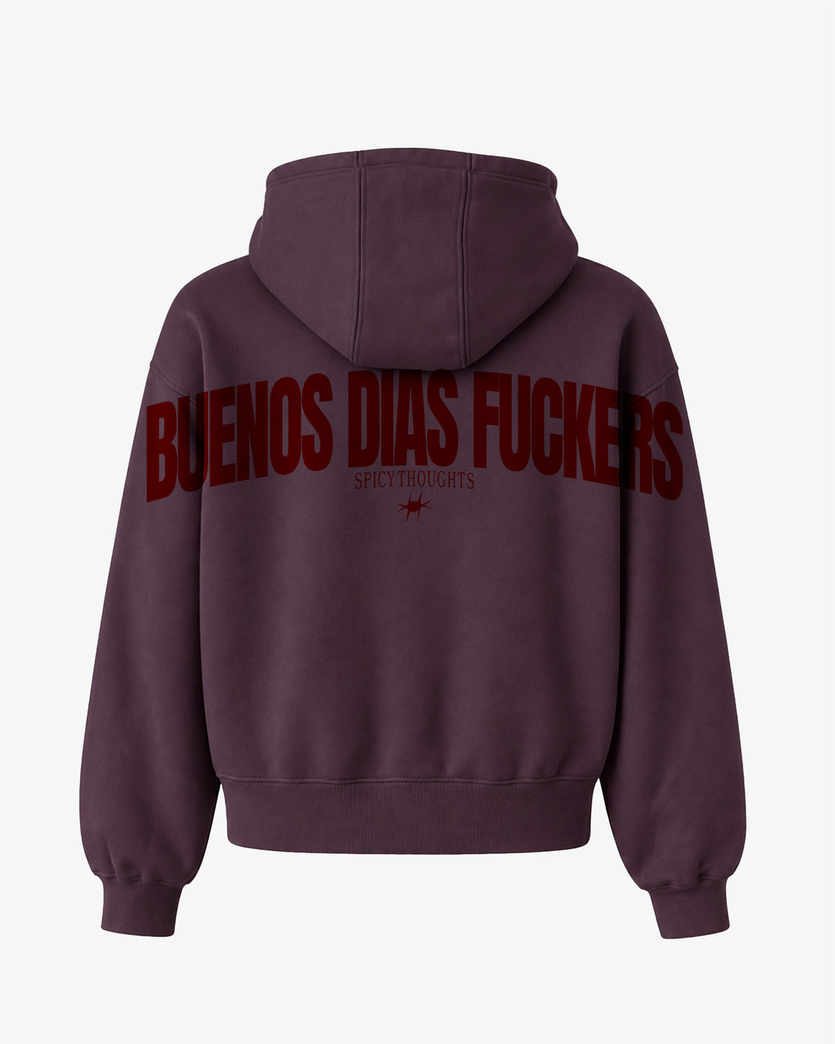 Oversized Hoodie - Buenos Dias Fuckers Back Arch