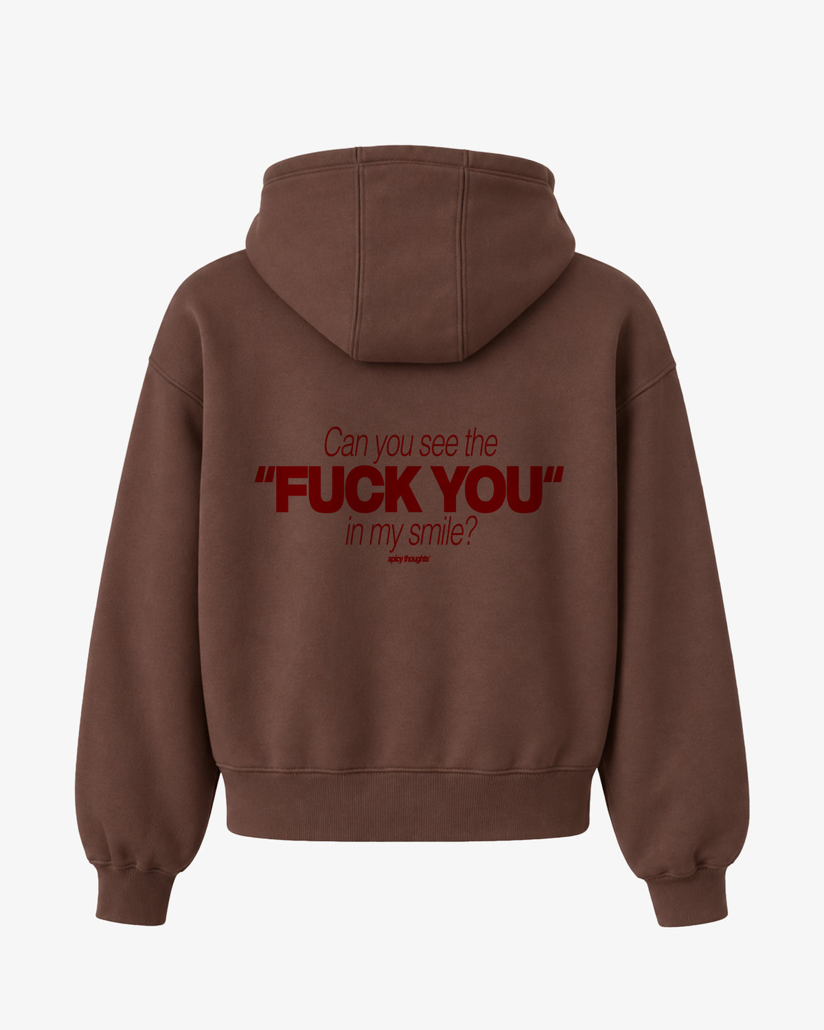 Oversized Hoodie - Can You See The Fuck You In My Smile