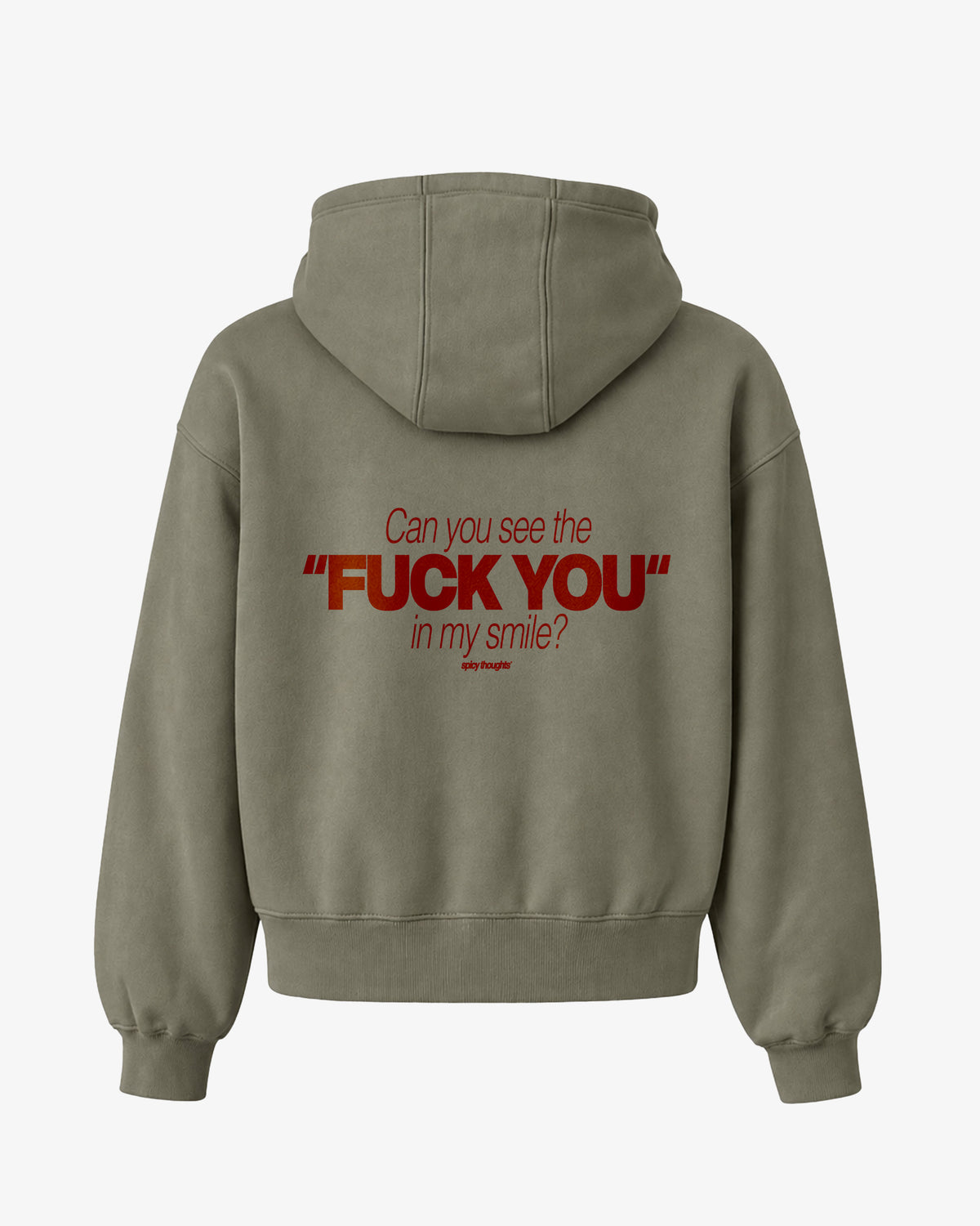 Oversized Hoodie - Can You See The Fuck You In My Smile