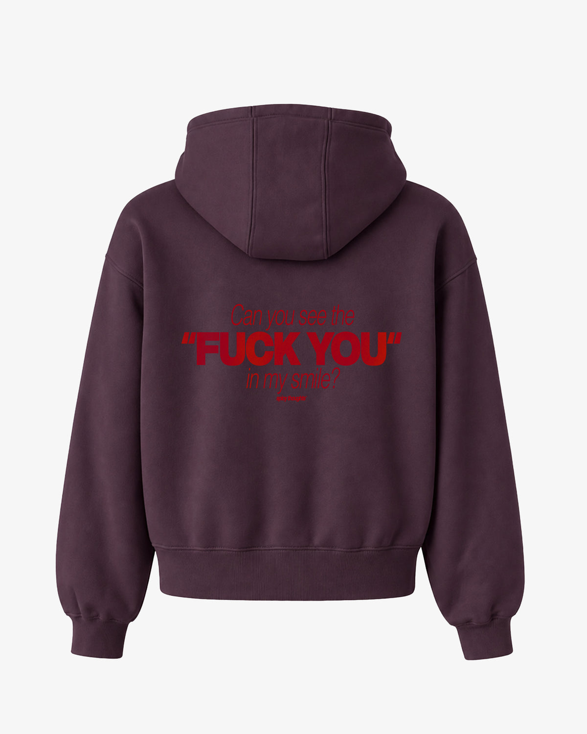 Oversized Hoodie - Can You See The Fuck You In My Smile