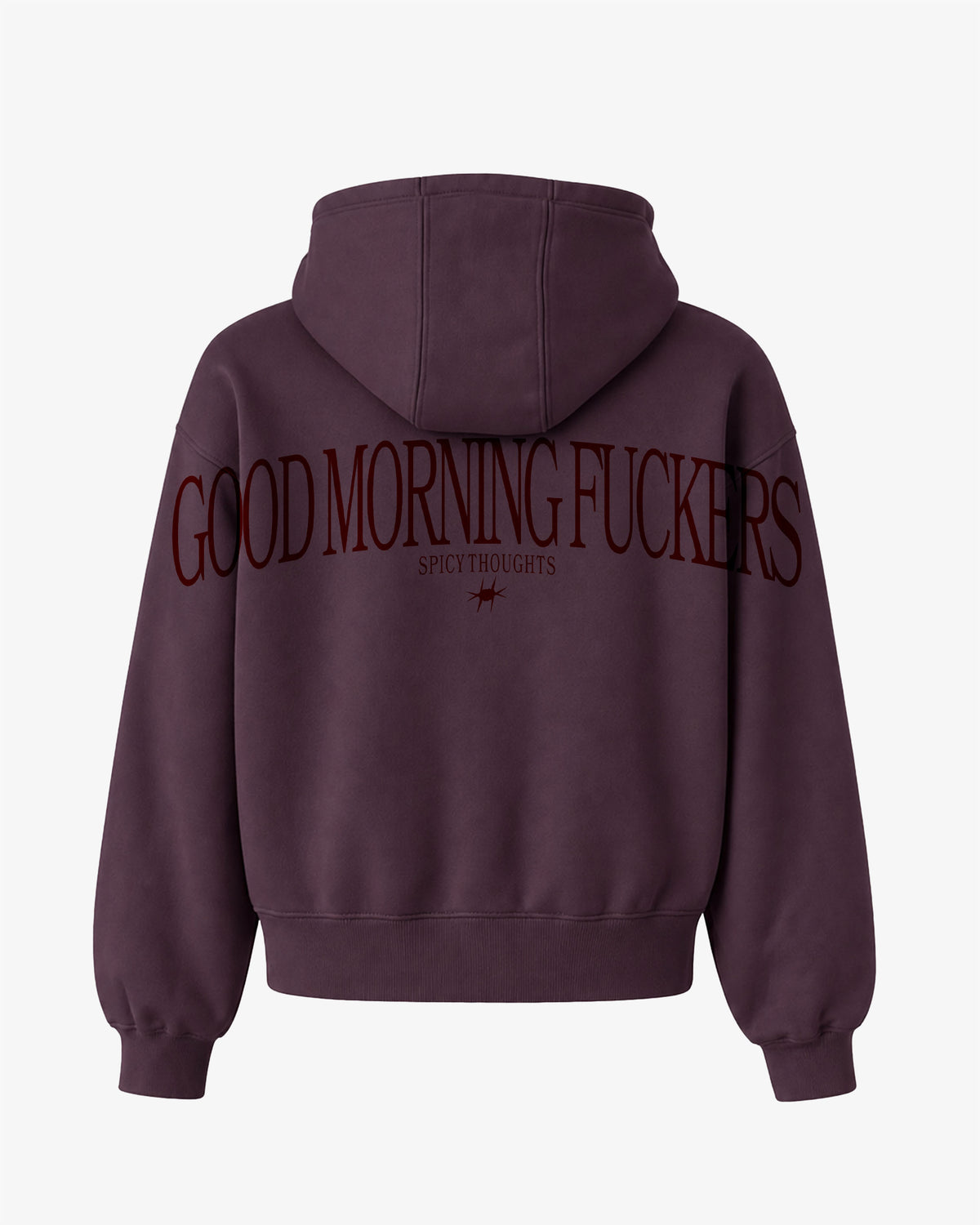 Oversized Hoodie - Good Morning Fuckers Back Arch