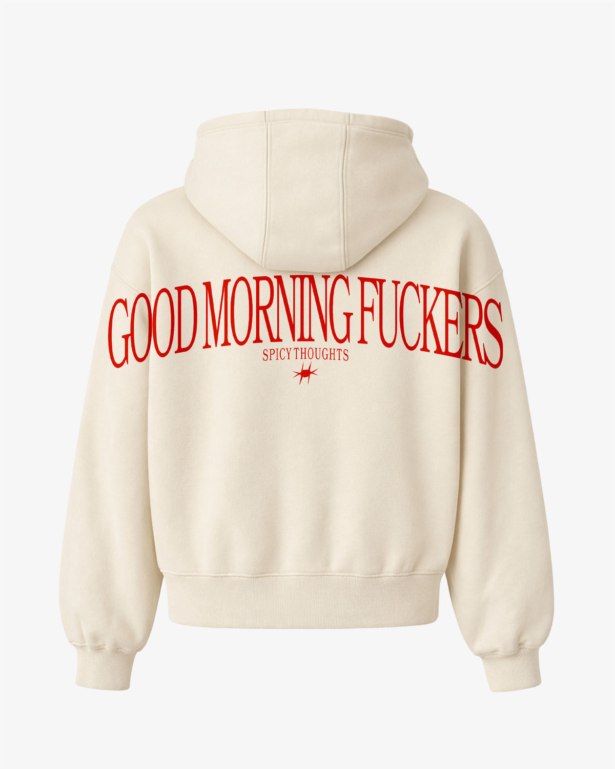 Oversized Hoodie - Good Morning Fuckers Back Arch