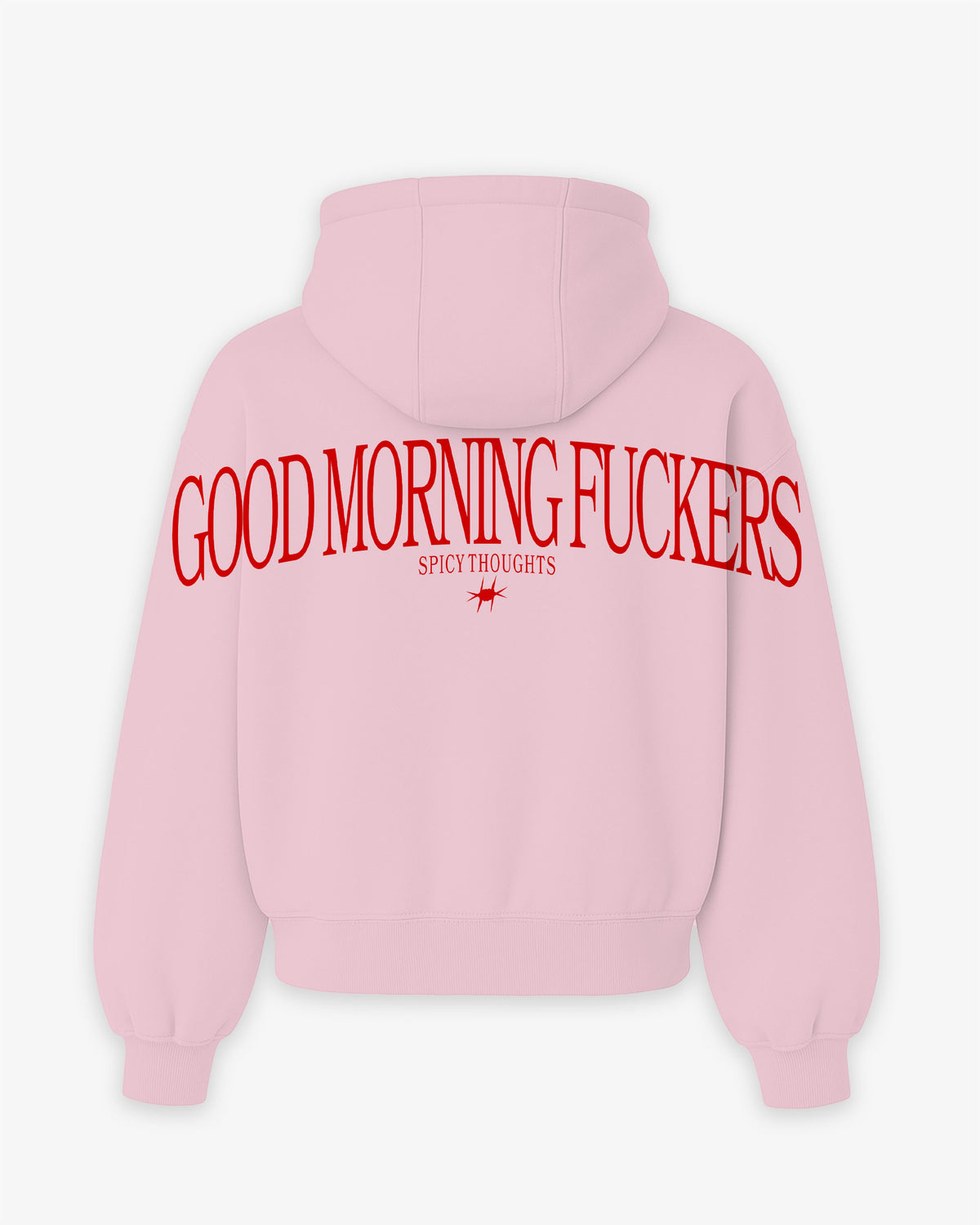 Oversized Hoodie - Good Morning Fuckers Back Arch