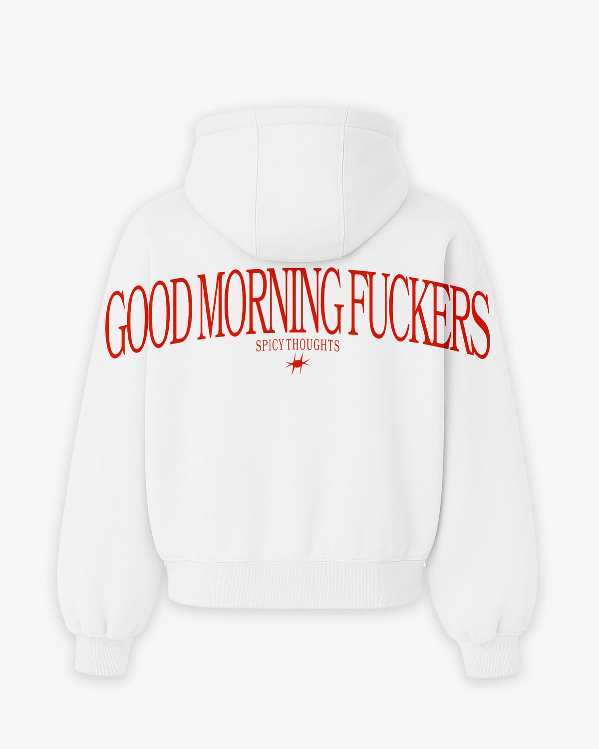 Oversized Hoodie - Good Morning Fuckers Back Arch