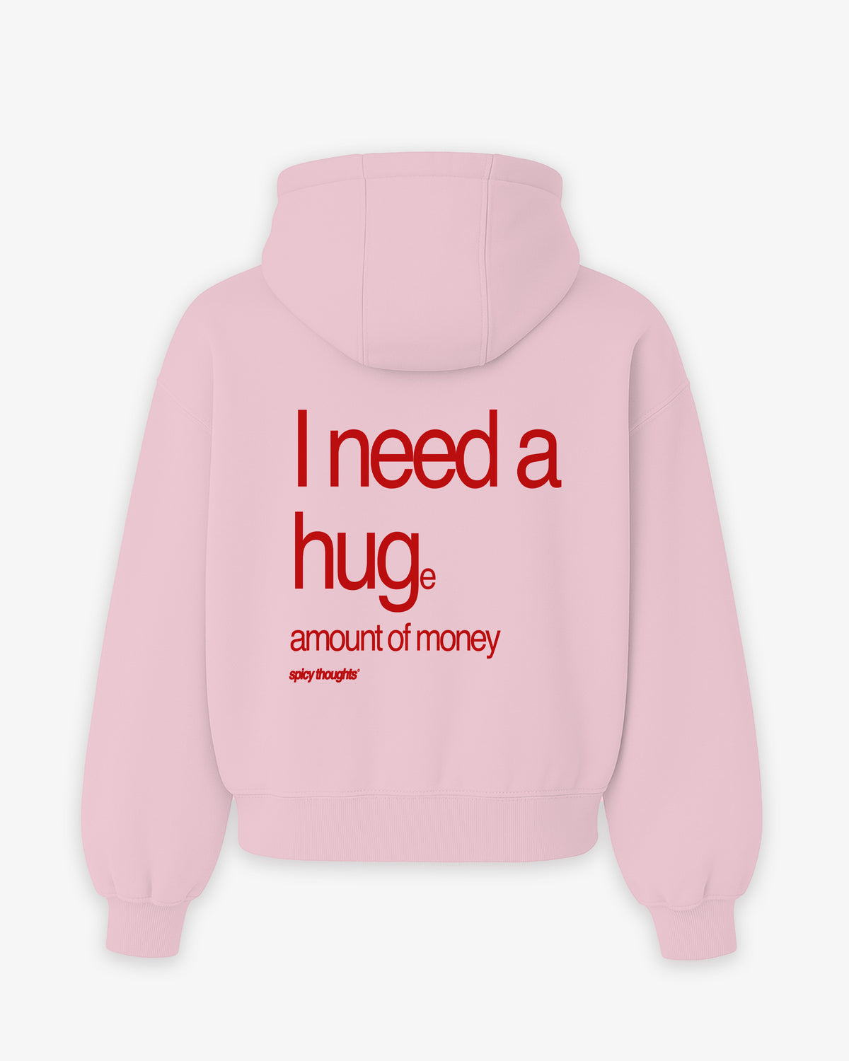 Oversized Hoodie - I need a hug. A huge amount of money