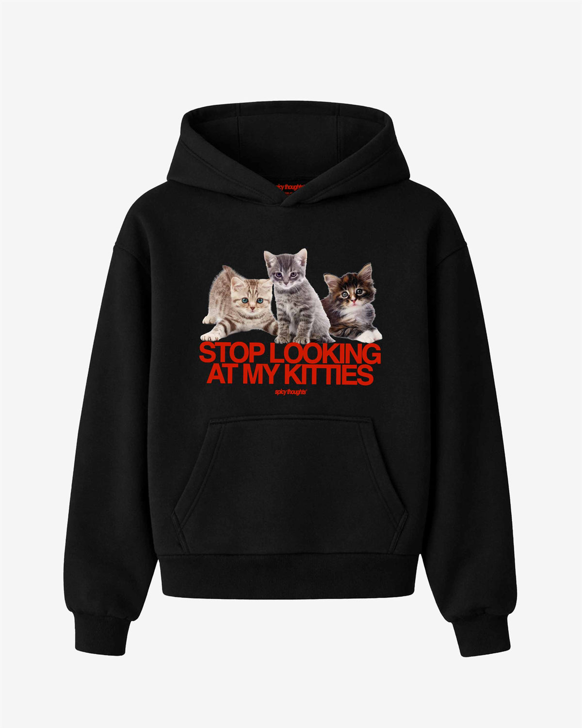Oversized Hoodie - Stop Looking At My Kitties