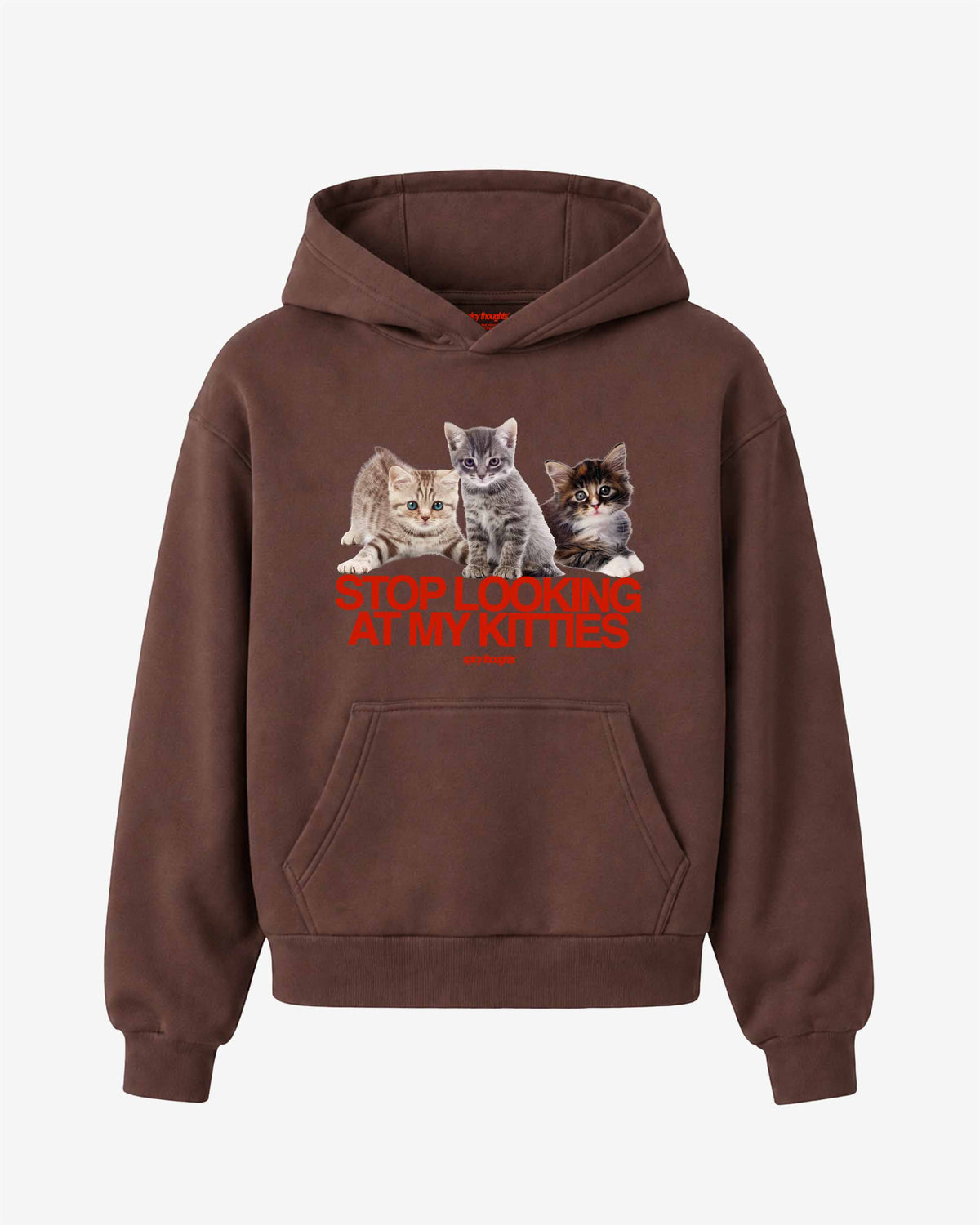 Oversized Hoodie - Stop Looking At My Kitties